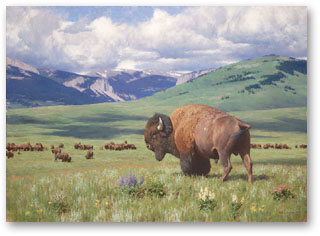 Return of Summer - by Tucker Smith