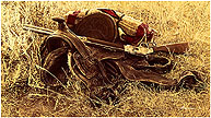 1880s Still Life of Saddle & Rifle