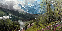 Springtime in the Tetons