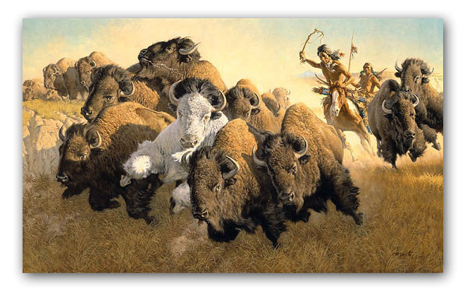 In Pursuit of the White Buffalo